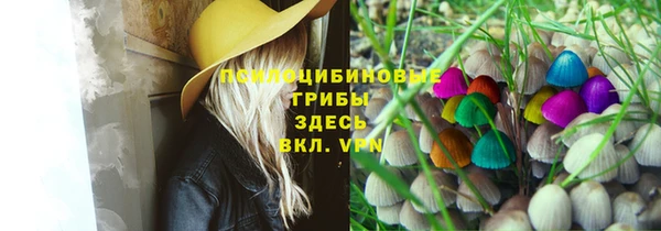 a pvp Алексеевка