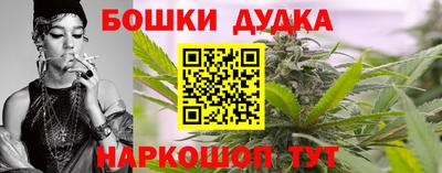 индика Пыть-Ях