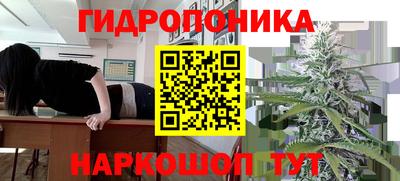 индика Пыть-Ях