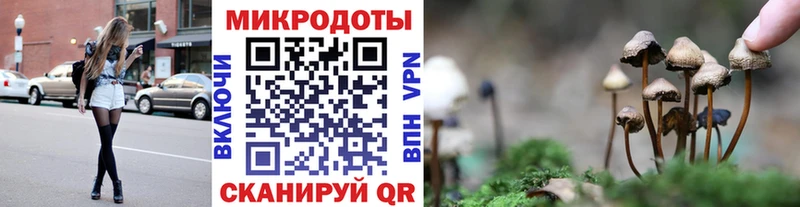 Псилоцибиновые грибы Psilocybe Ярославль
