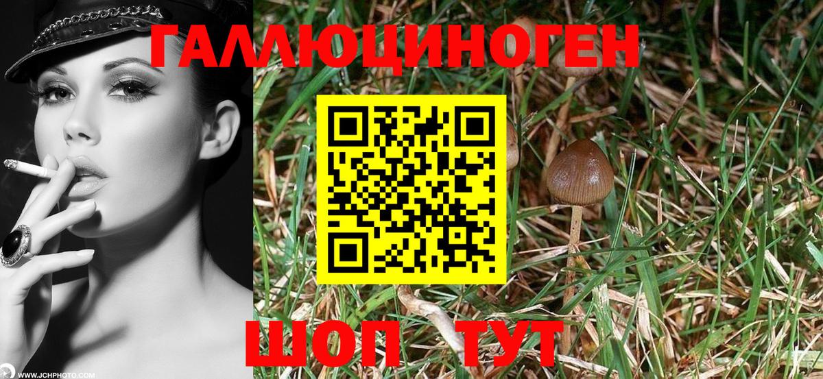Ярославль  Псилоцибиновые грибы ЛСД  Вход с VPN 