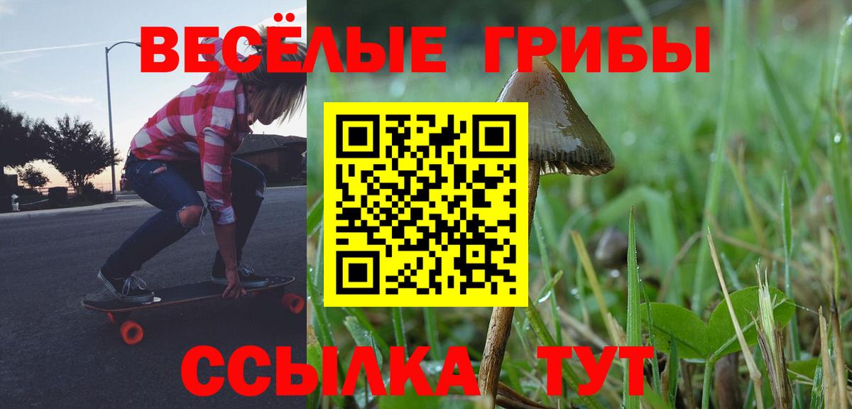 Галлюциногенные грибы Psilocybe Ярославль