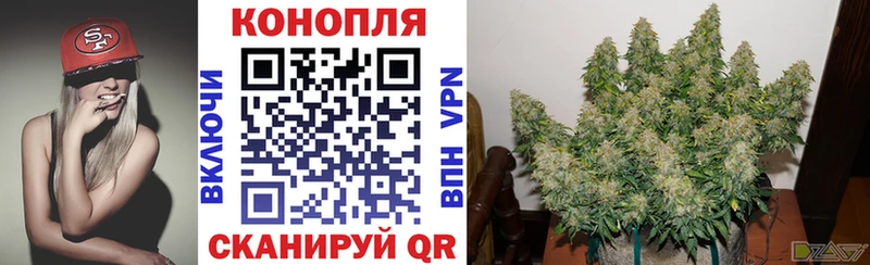продажа наркотиков Ярославль Шишки марихуана план